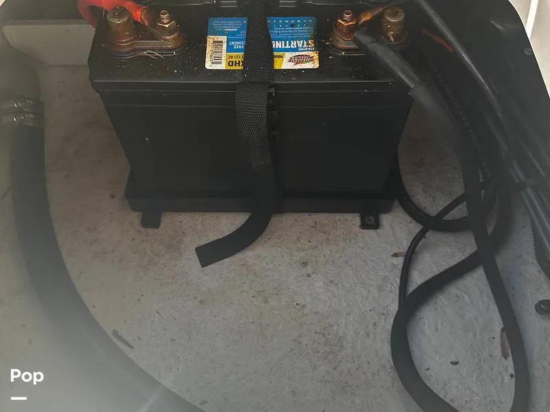 Slide: The Image of Stingray 206 CC 2018 - 16085909