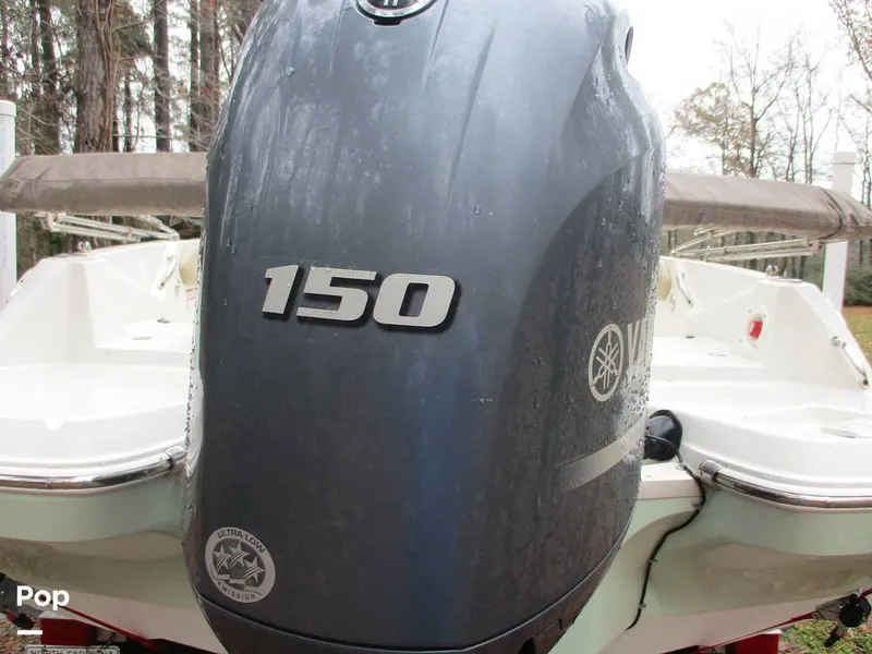 Slide: The Image of Stingray 206 CC 2018 - 16105325