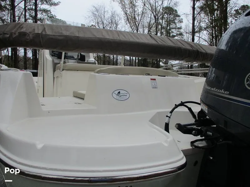 Slide: The Image of Stingray 206 CC 2018 - 16105268