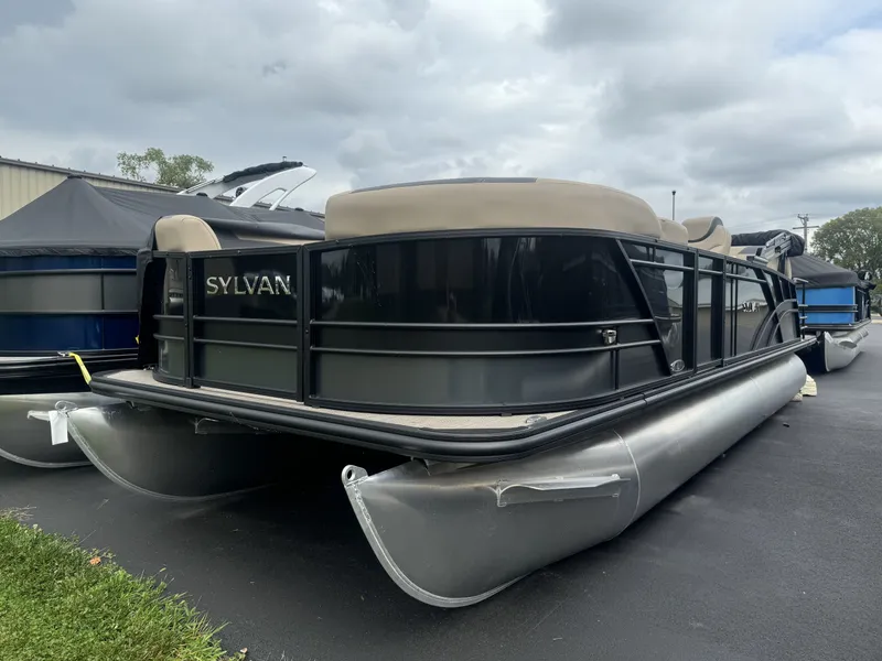 The Image of Sylvan L-3 2024 - 0