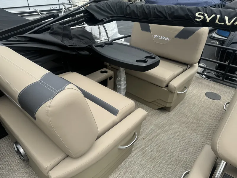 Slide: The Image of Sylvan L-3 2024 - 12