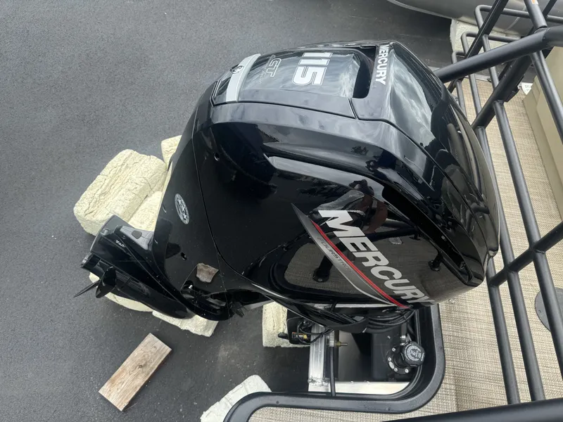 Slide: The Image of Sylvan L-3 2024 - 18