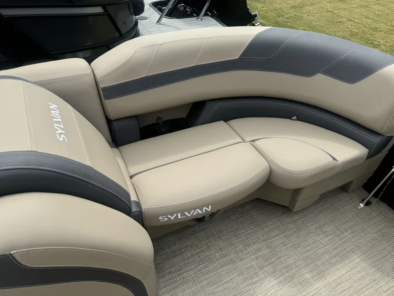 Slide: The Image of Sylvan L-3 2024 - 4