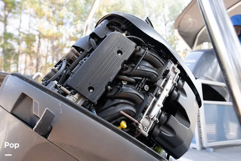 Slide: The Image of Bennington S22 2023 - 16079992