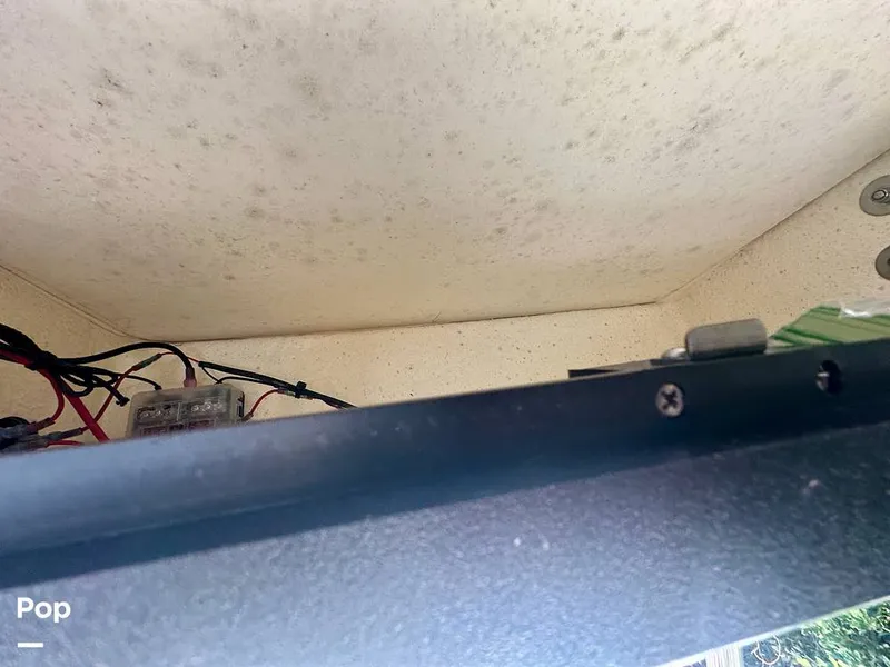 Slide: The Image of Key West 189FS 2024 - 16221865