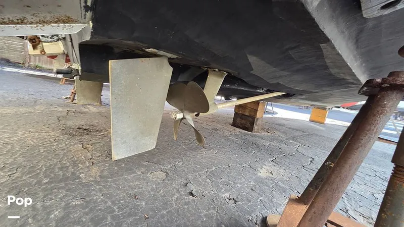 Slide: The Image of Rudder - 16269406