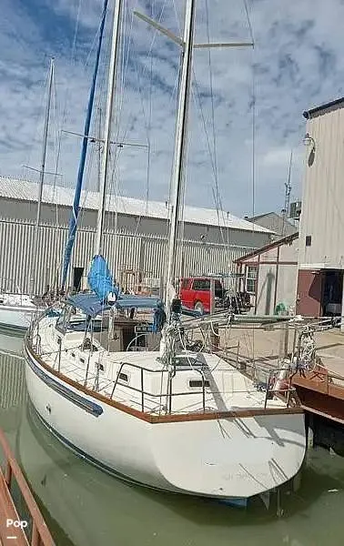 The Image of Bruce Roberts 44 2005 - 16158437