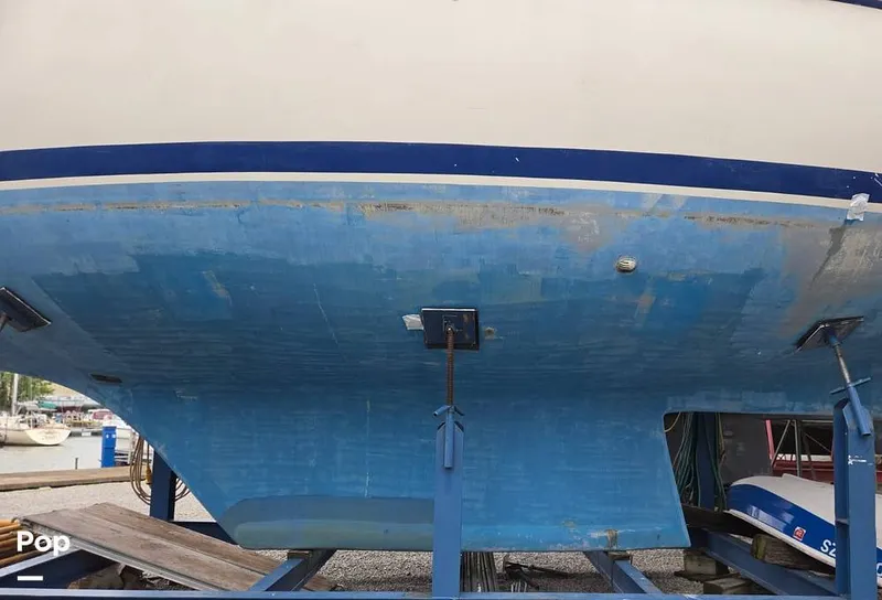 Slide: The Image of Bruce Roberts 44 2005 - 16375941