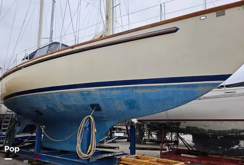 Slide: The Image of Bruce Roberts 44 2005 - 16375945