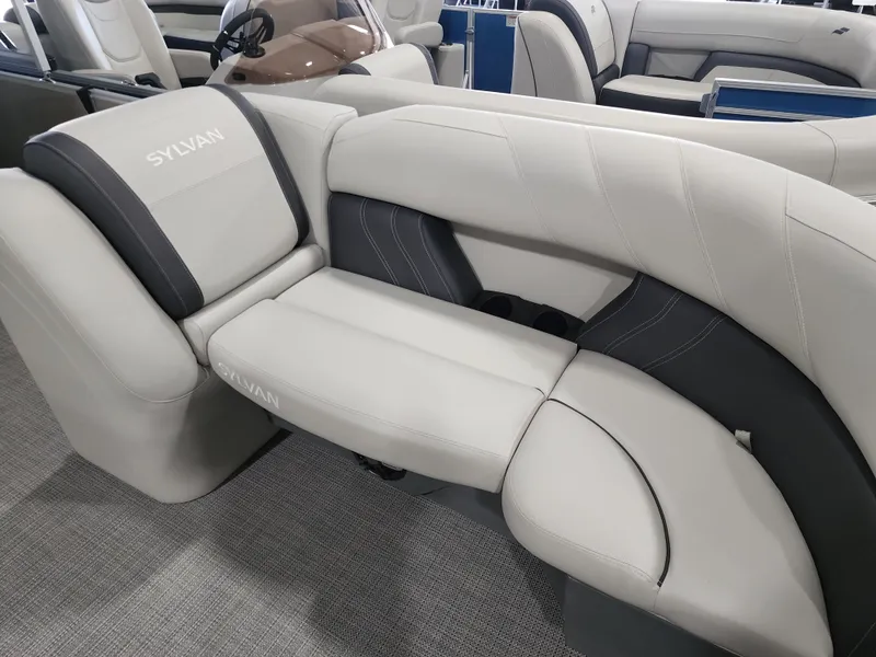 Slide: The Image of Sylvan MIRAGE 8524 2024 - 31