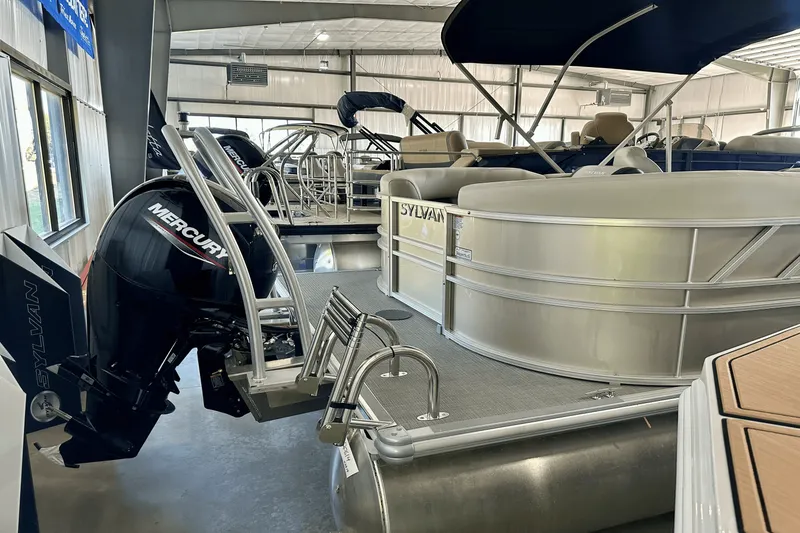 Slide: The Image of Sylvan MIRAGE 8524 2024 - 5