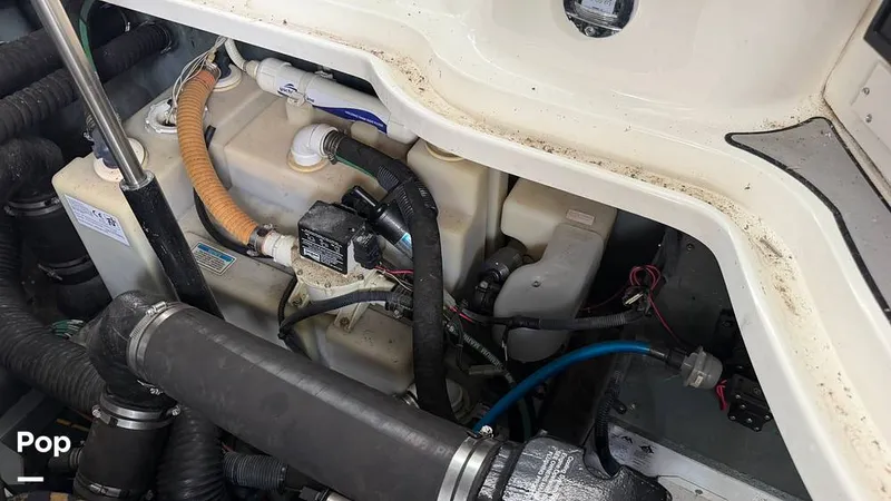 Slide: The Image of Sea Ray 320 Sundancer 2004 - 16300030