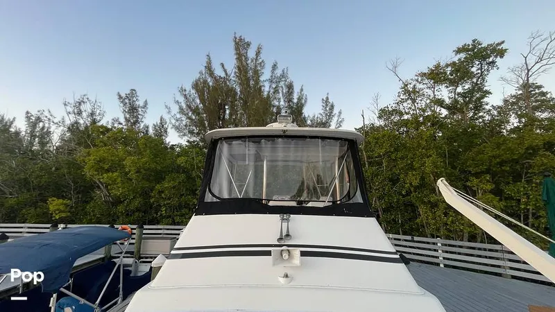 Slide: The Image of Ocean Super Sport FS 38 1988 - 16115249