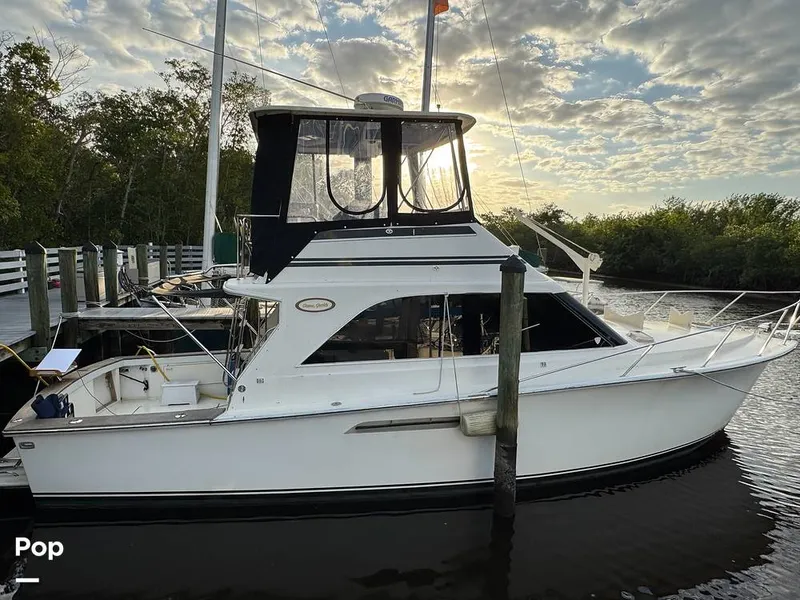 The Image of Stbd View - 16087778