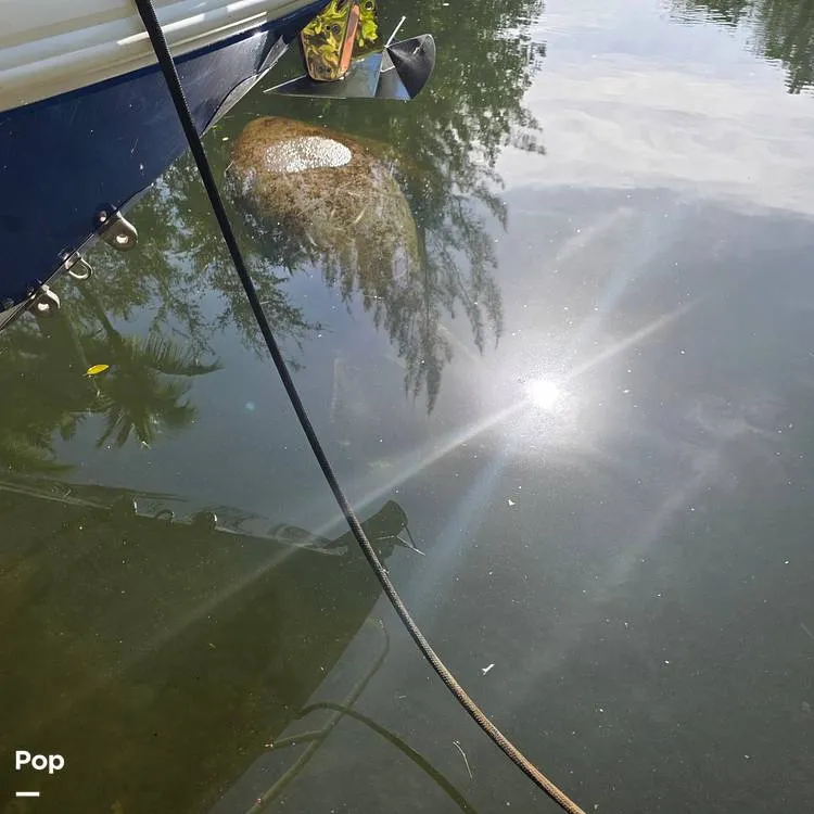 Slide: The Image of Intrepid 375 2014 - 16132016