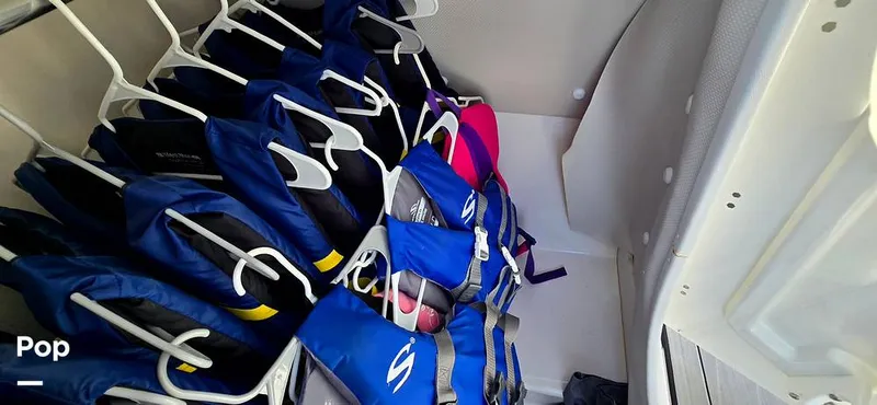 Slide: The Image of Yamaha 252XE 2023 - 16152060