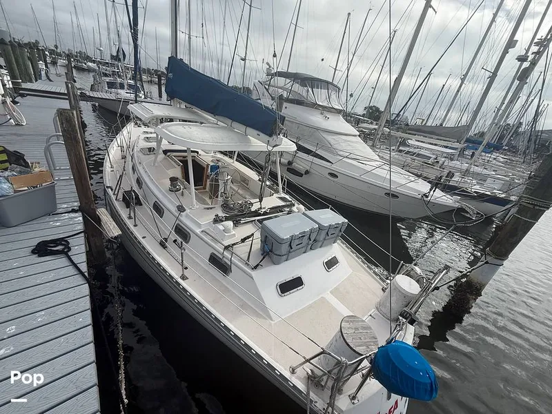 Slide: The Image of Morgan 44 Center Cockpit 1989 - 16108358