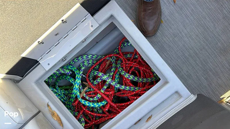 Slide: The Image of Bennington SX20 2022 - 16133946