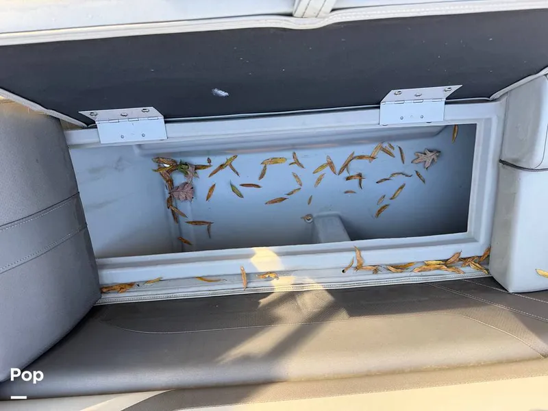 Slide: The Image of Bennington SX20 2022 - 16133950