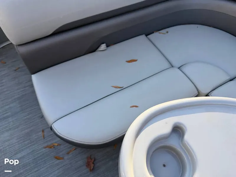 Slide: The Image of Bennington SX20 2022 - 16133969