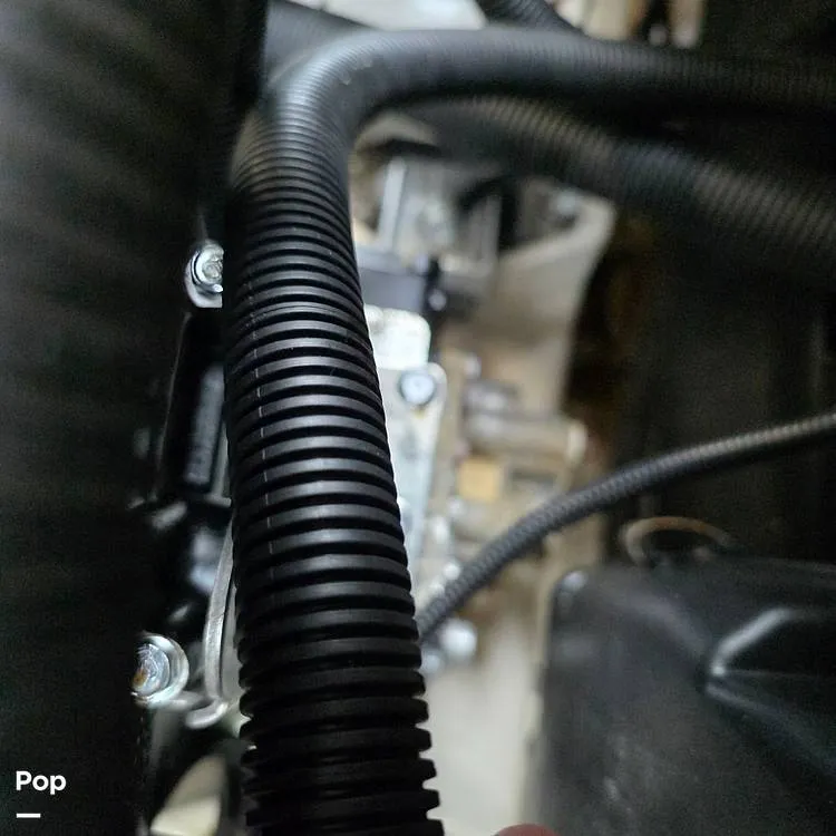 Slide: The Image of Yamaha 222S 2023 - 16115295