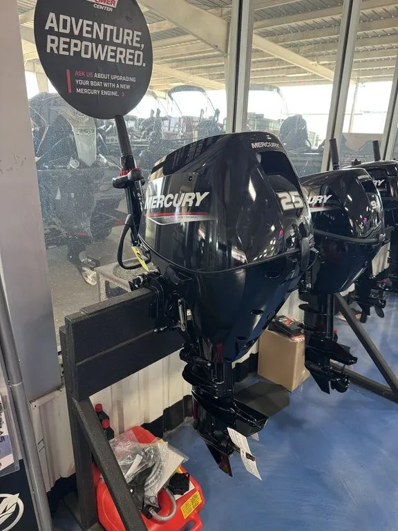 The Image of Mercury Marine® FourStroke 25hp EFI 2027 - 0