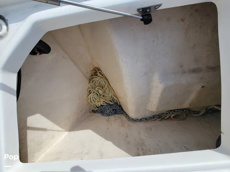 Slide: The Image of World Cat 325CC 2023 - 16115505