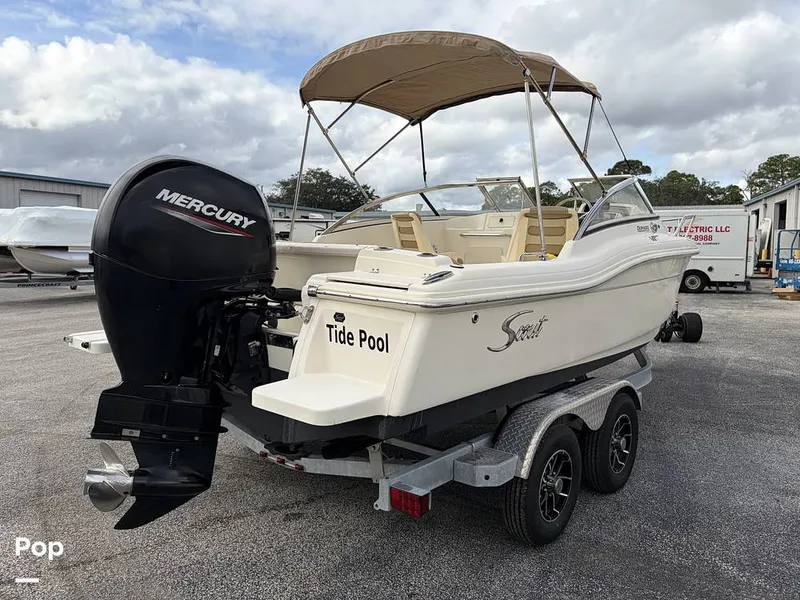 Slide: The Image of Scout 210 Dorado 2022 - 16128541