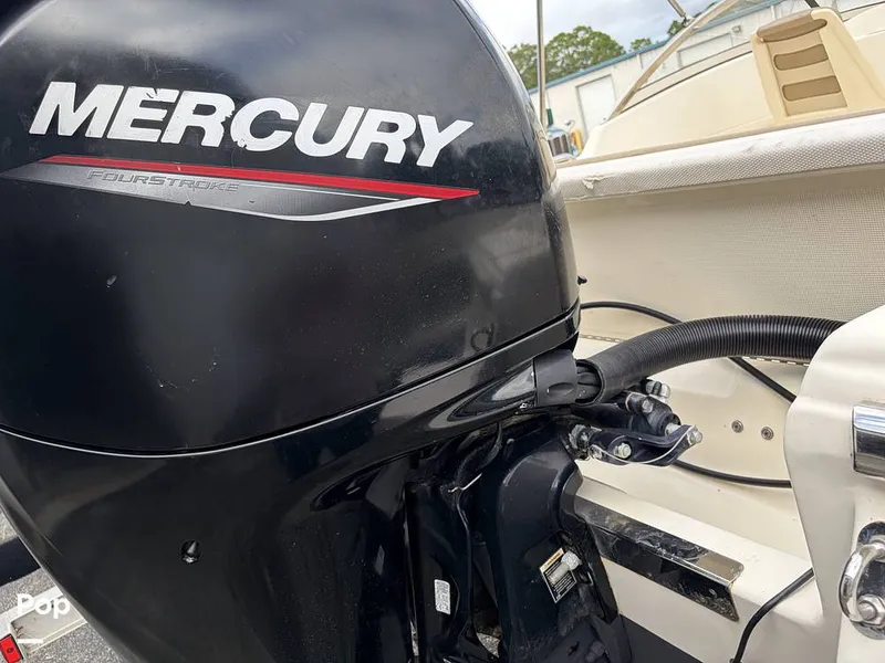 Slide: The Image of Scout 210 Dorado 2022 - 16130271