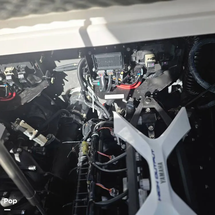 Slide: The Image of Yamaha 255 FSH Sport 2024 - 16127738