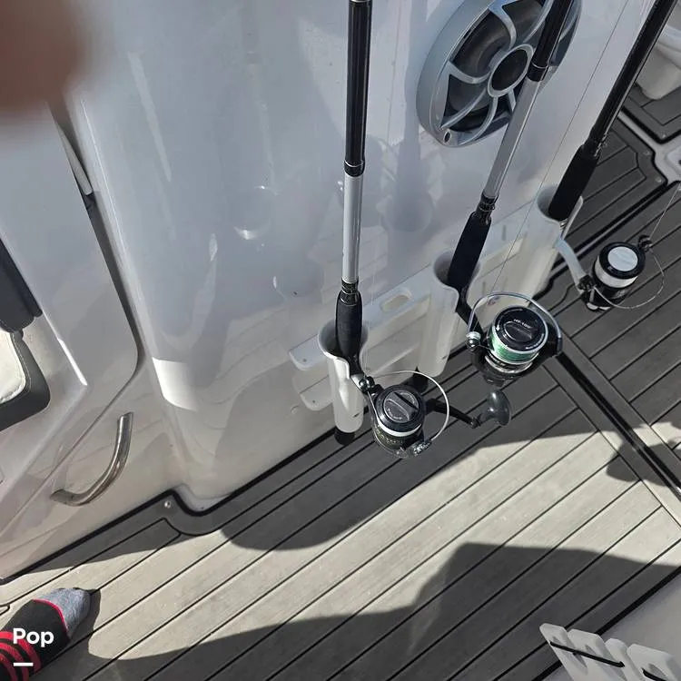 Slide: The Image of Yamaha 255 FSH Sport 2024 - 16127746