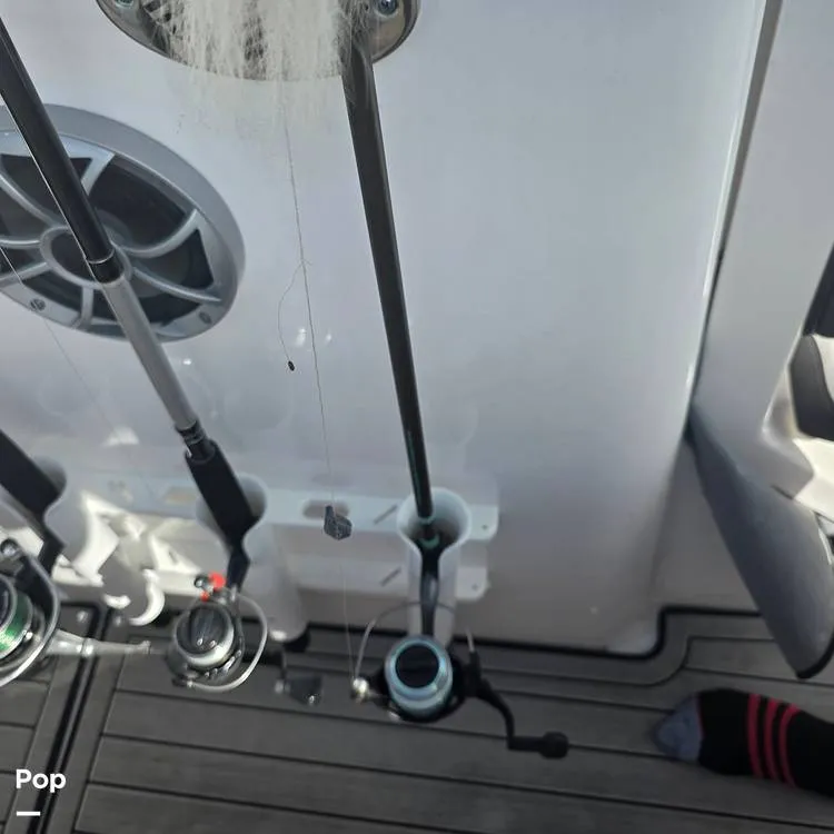 Slide: The Image of Yamaha 255 FSH Sport 2024 - 16127748