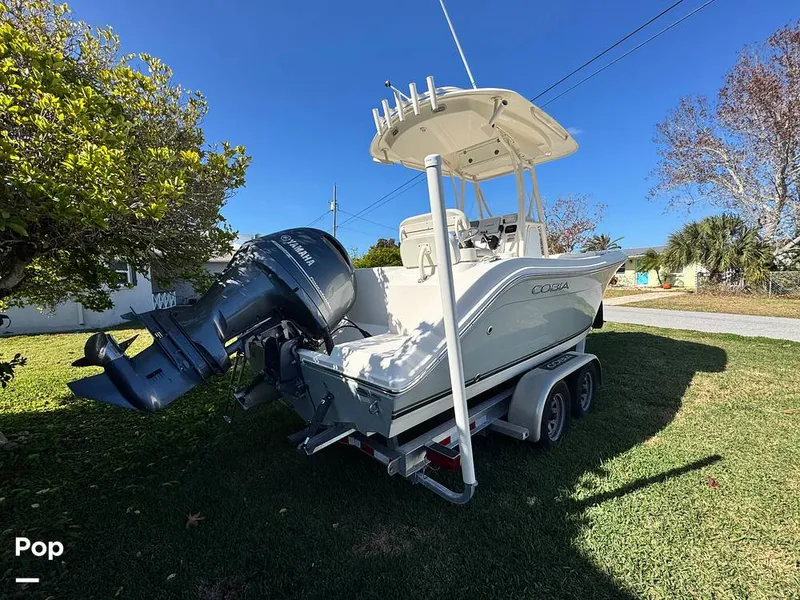 Slide: The Image of Cobia 217 CC 2016 - 16121654