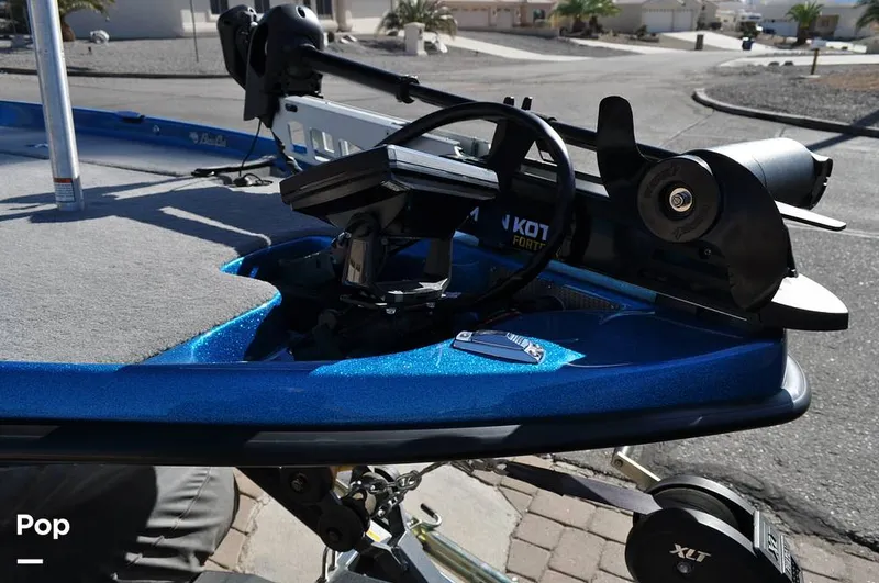 Slide: The Image of Bass Cat Sabre FTD 2021 - 16144685