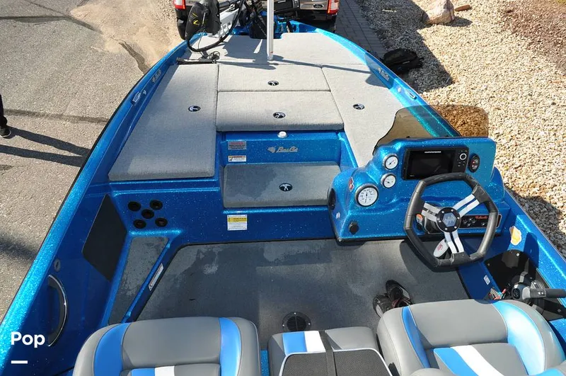 Slide: The Image of Bass Cat Sabre FTD 2021 - 16144686