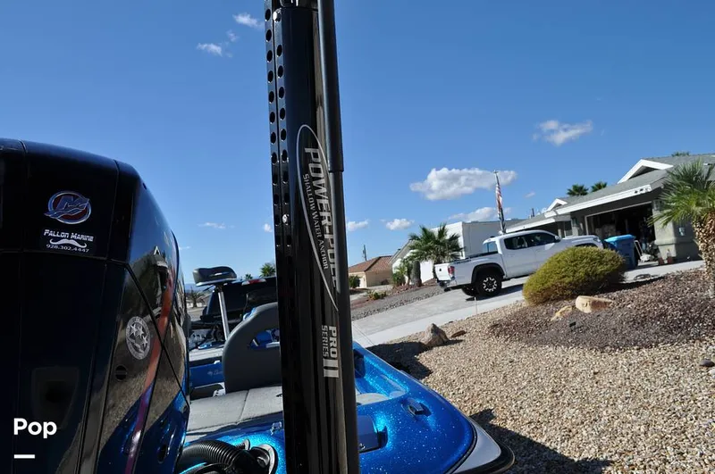 Slide: The Image of Bass Cat Sabre FTD 2021 - 16144749