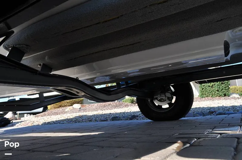 Slide: The Image of Bass Cat Sabre FTD 2021 - 16144701