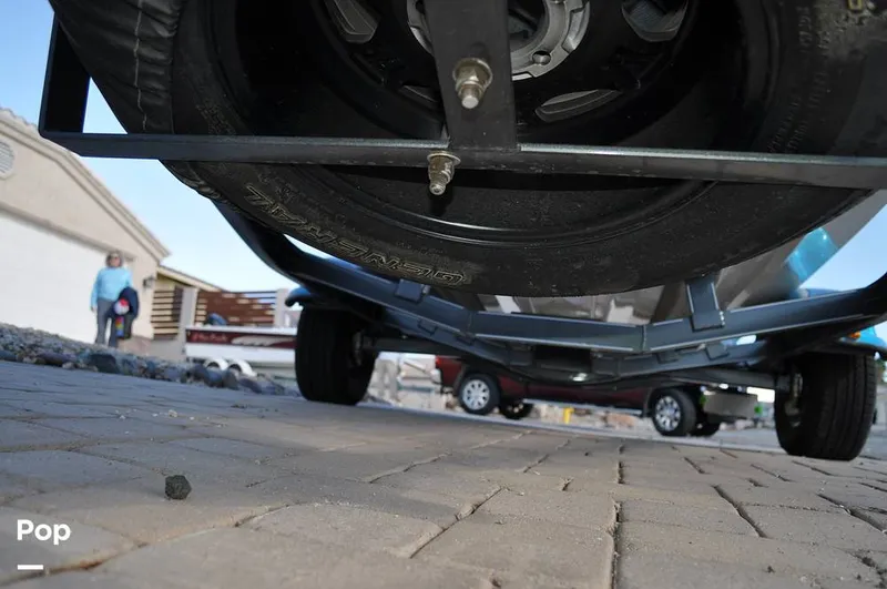 Slide: The Image of Bass Cat Sabre FTD 2021 - 16144695