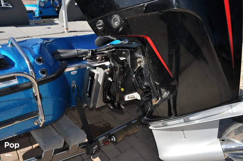 Slide: The Image of Bass Cat Sabre FTD 2021 - 16144702