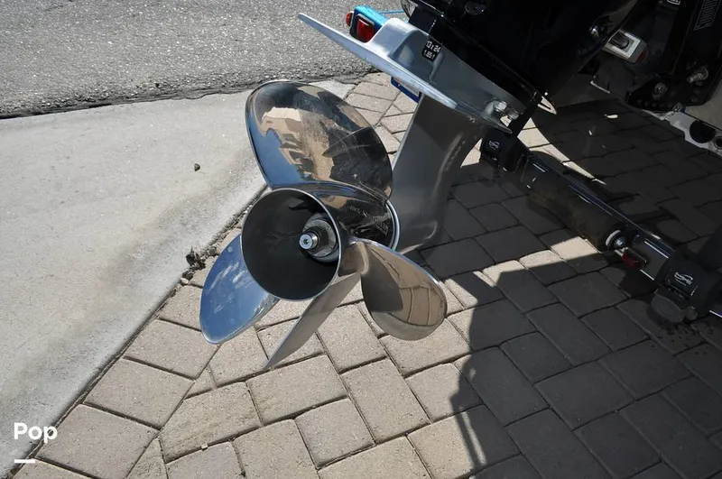 Slide: The Image of Bass Cat Sabre FTD 2021 - 16144703