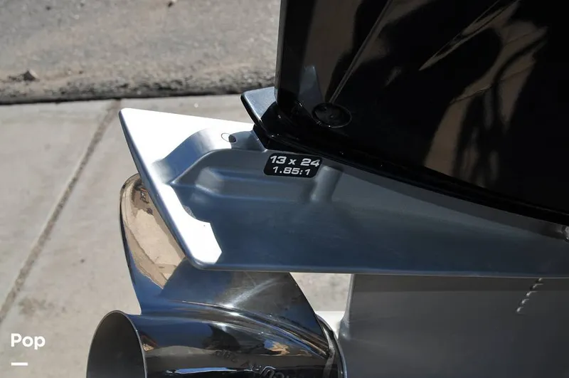 Slide: The Image of Bass Cat Sabre FTD 2021 - 16144704