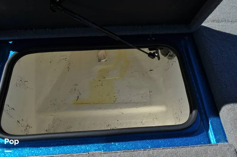 Slide: The Image of Bass Cat Sabre FTD 2021 - 16144719