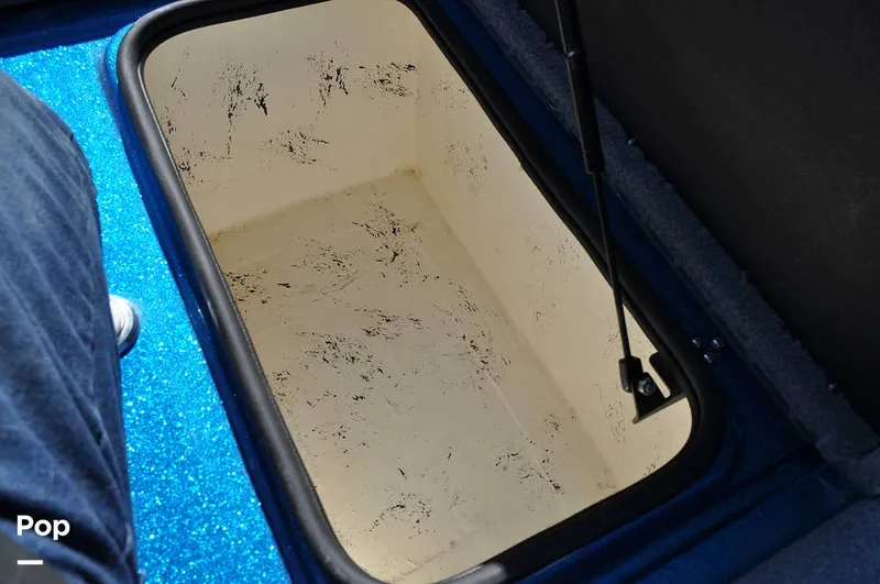 Slide: The Image of Bass Cat Sabre FTD 2021 - 16144721