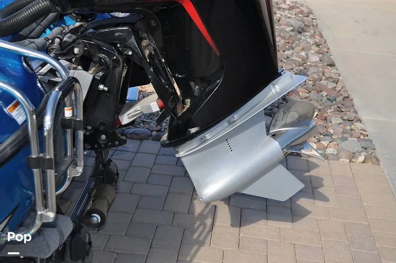 Slide: The Image of Bass Cat Sabre FTD 2021 - 16144725