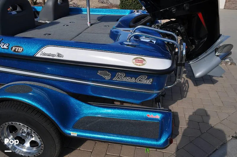 Slide: The Image of Bass Cat Sabre FTD 2021 - 16144726