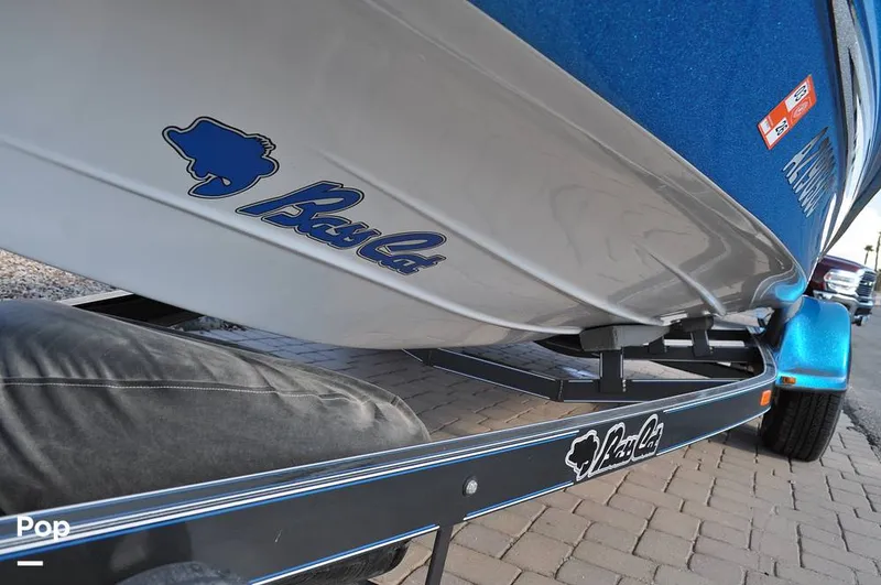 Slide: The Image of Bass Cat Sabre FTD 2021 - 16144735