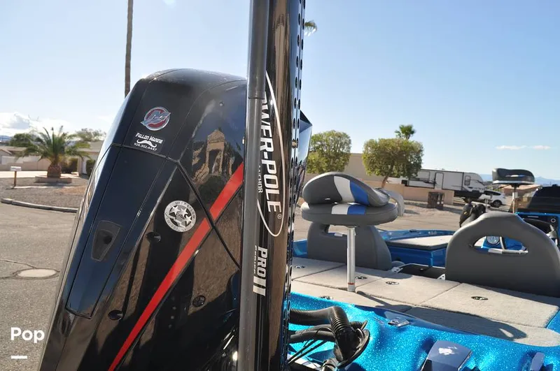 Slide: The Image of Bass Cat Sabre FTD 2021 - 16144750