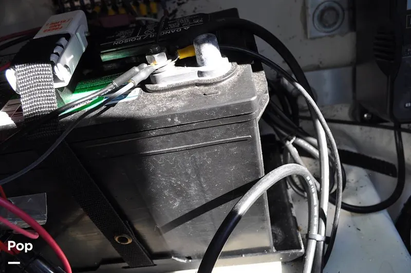 Slide: The Image of Bass Cat Sabre FTD 2021 - 16144753