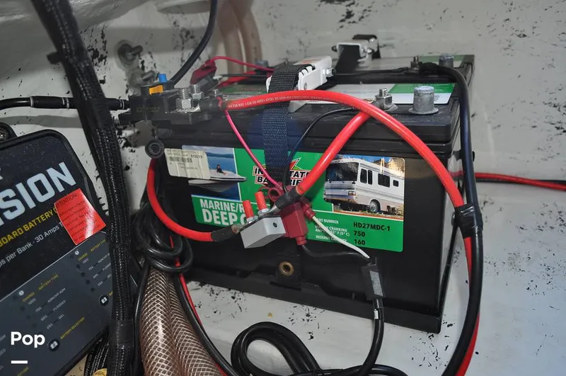 Slide: The Image of Bass Cat Sabre FTD 2021 - 16144754