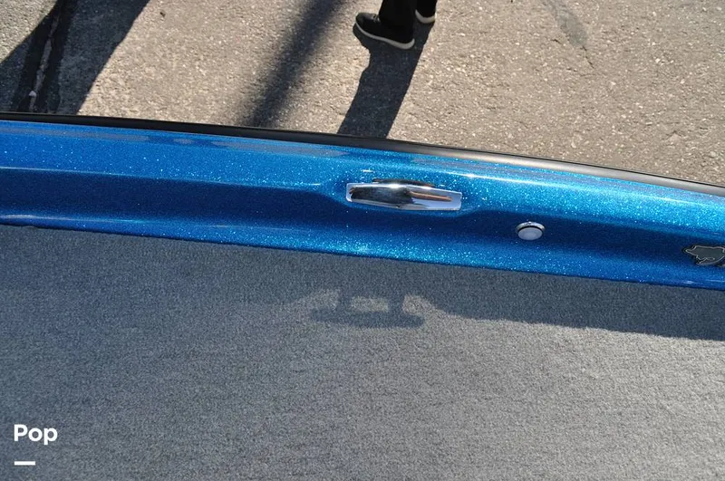 Slide: The Image of Bass Cat Sabre FTD 2021 - 16144756